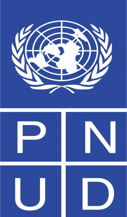 520px-PNUD